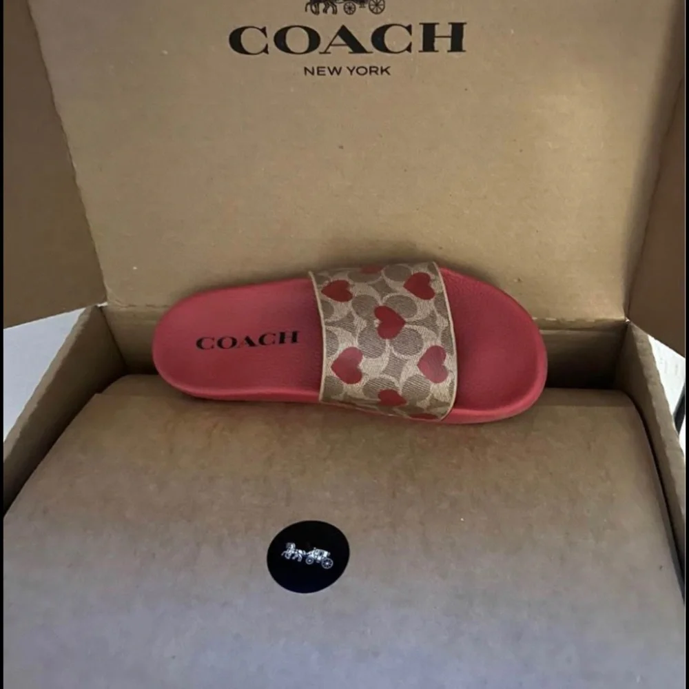 Coach slides - Picture 1 of 2